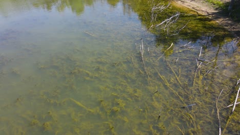 bajo las plantas de agua a través del aire en una toma de drones