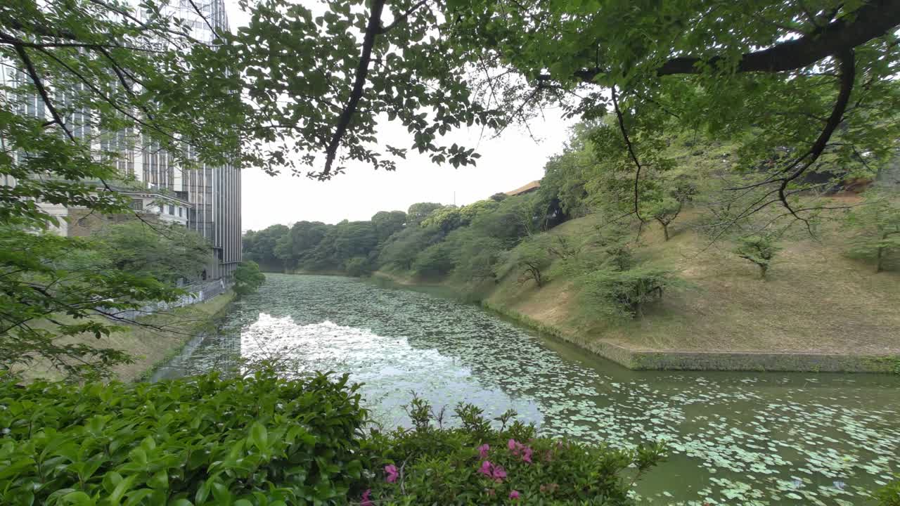 도쿄 치도리가푸치 (tokyo chidorigafuchi) 2022년