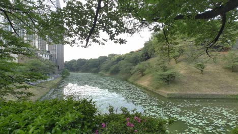 tokyo chidorigafuchi temprano en la mañana de 2022