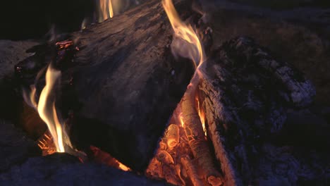 Close-up-shot-of-campfire---burning-wood-and-red-coals,-high-temperature