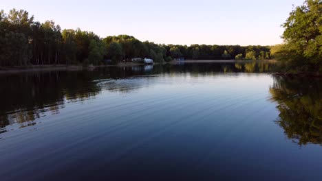 Vögel-Im-Wasser,-Inselsee-Im-Wald