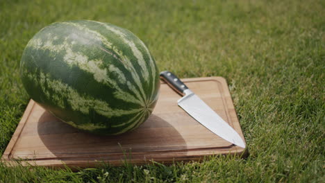 the watermelon lies on the cutting board. picnic treats