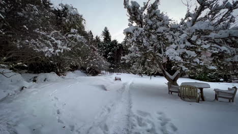 winter wonderland walk through gate to snow covered forest farm