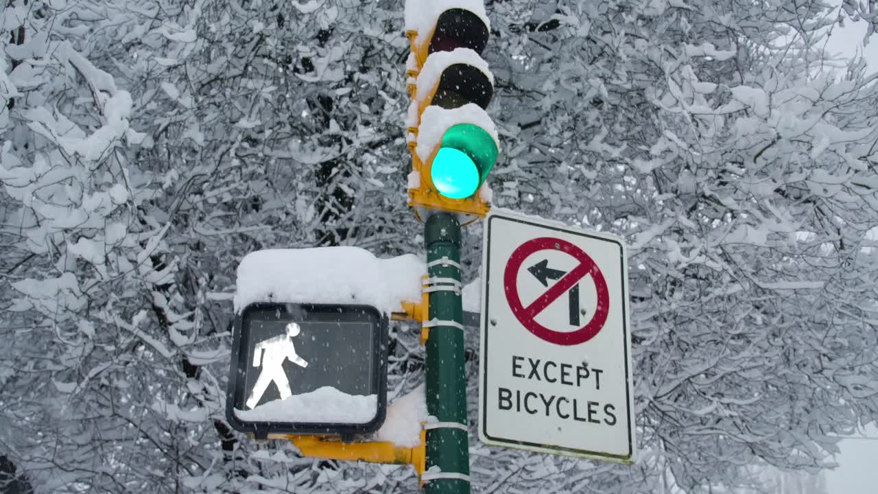 신호등은 초록색 신호와 신호등에서 눈을 나타니다.