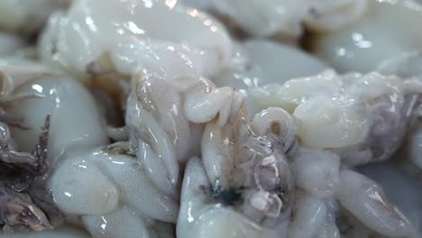 varios tipos de mariscos crudos, de cerca