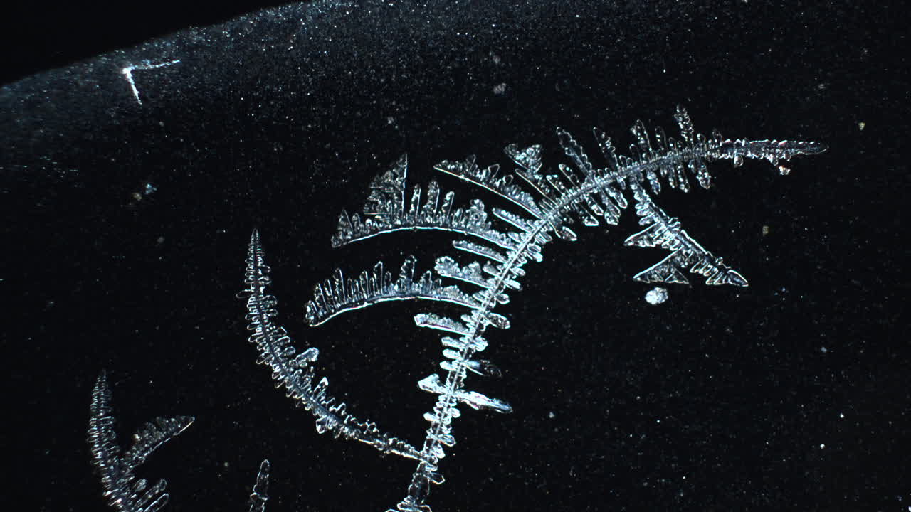 Close-up of Intricate Frost Formations on a Dark Surface