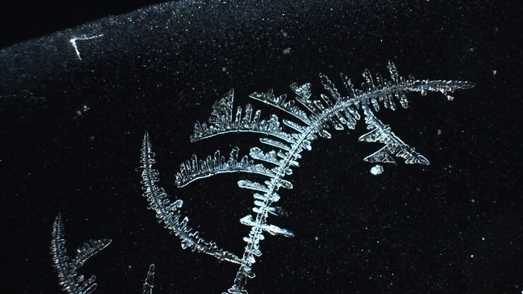 Close-up of Intricate Frost Formations on a Dark Surface