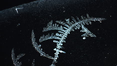 close-up of intricate frost formations on a dark surface