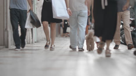 Walking-people-and-dog-in-the-street