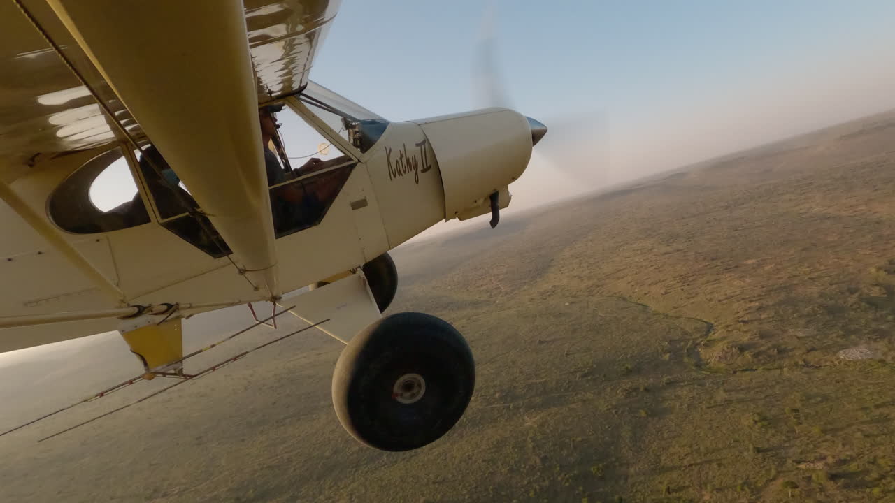 Aereo su veduta aerea di vegetazione e strada al tramonto dorato.