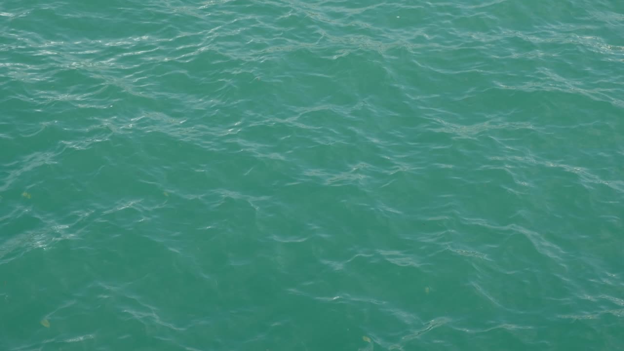 fondo de agua de mar verde