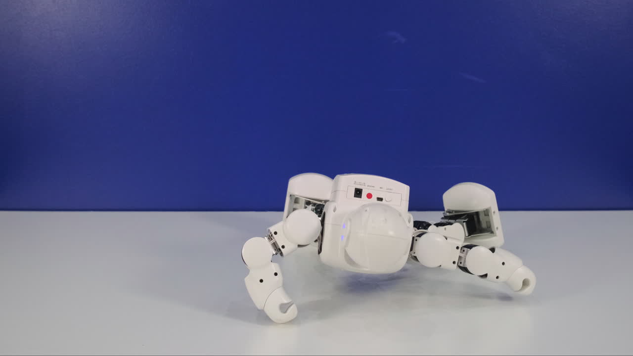 White Monkey Robot Toy