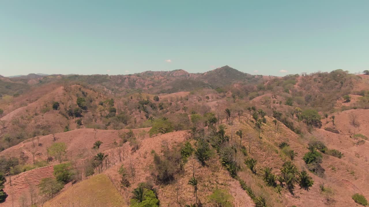 vuelo aéreo hacia palmeras en la colina de la montaña en costa rica