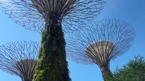 singapore gardens by the bay trees supertree grove day tree