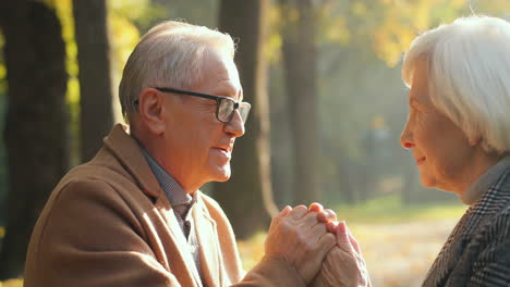 älterer-Mann-Und-Frau-Halten-Sich-An-Den-Händen-Und-Sprechen-Bei-Sonnenuntergang-Im-Park-Im-Herbst