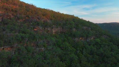 bush walk lower mangrove blue mountains hawkesbury river creek nsw sydney cliffside australia aerial drone spring summer gum eucalyptus trees dharug popran forest vibrant sunset forward up motion