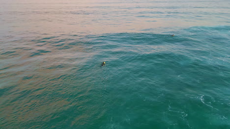 drone vista surfista nadando en la tabla de surf ondeando en el mar. agua que refleja la puesta de sol