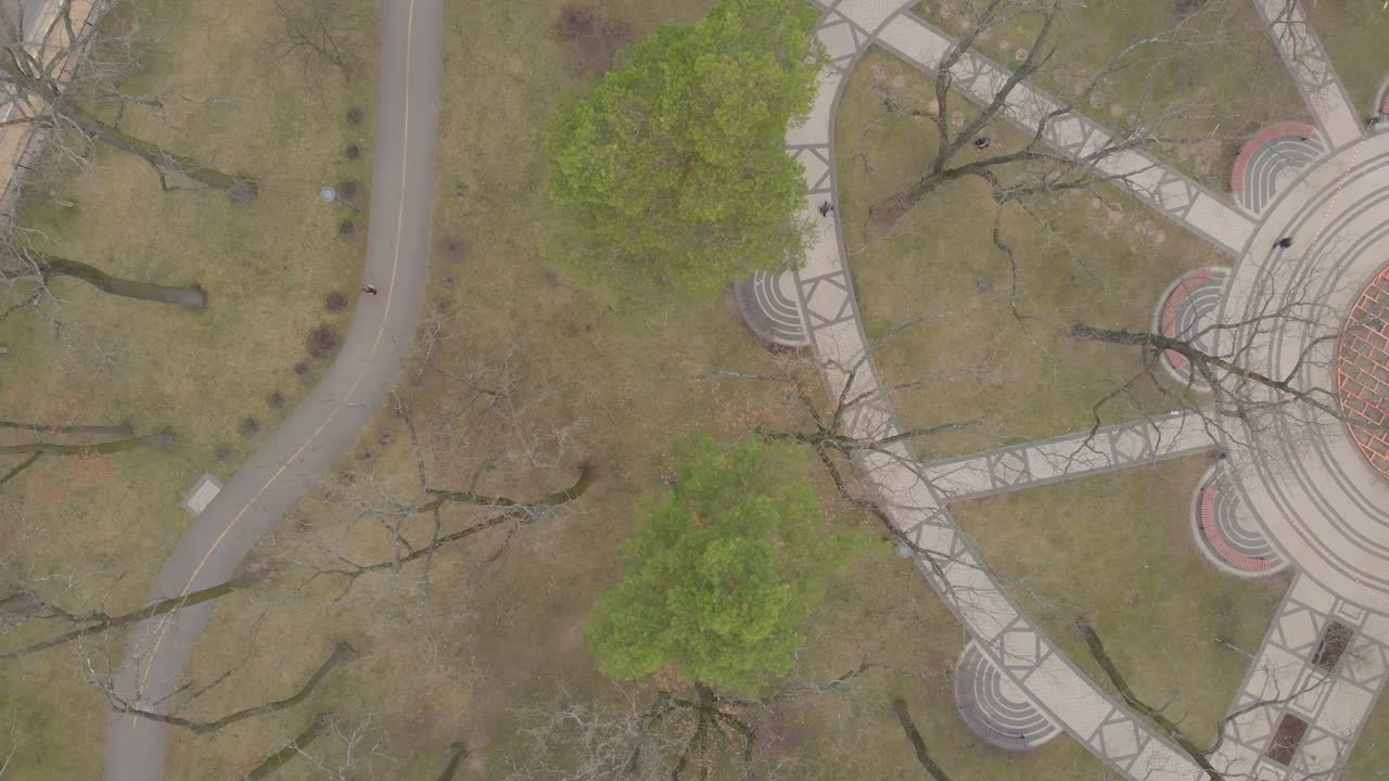 парк, аллея, голые деревья.