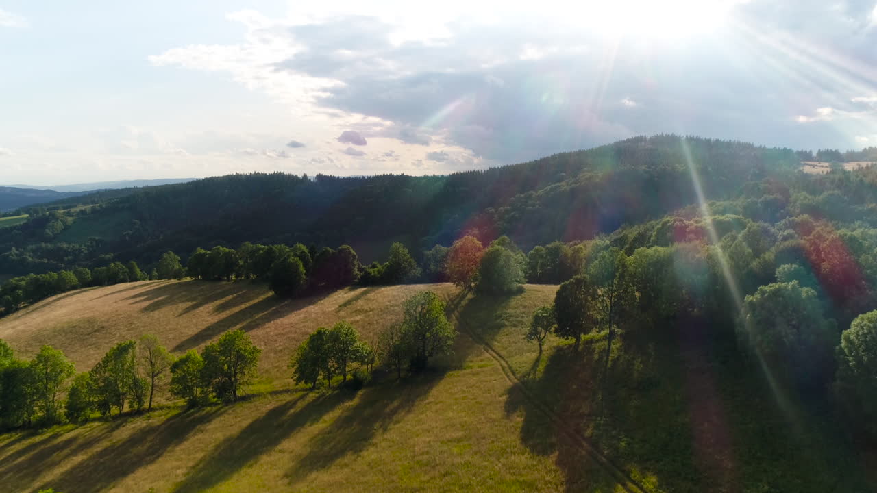 시골 풍경에 아름다운 녹색 숲의 공중