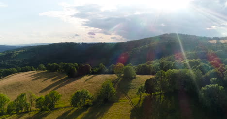 aerial of beautiful green forest in a rural landscape