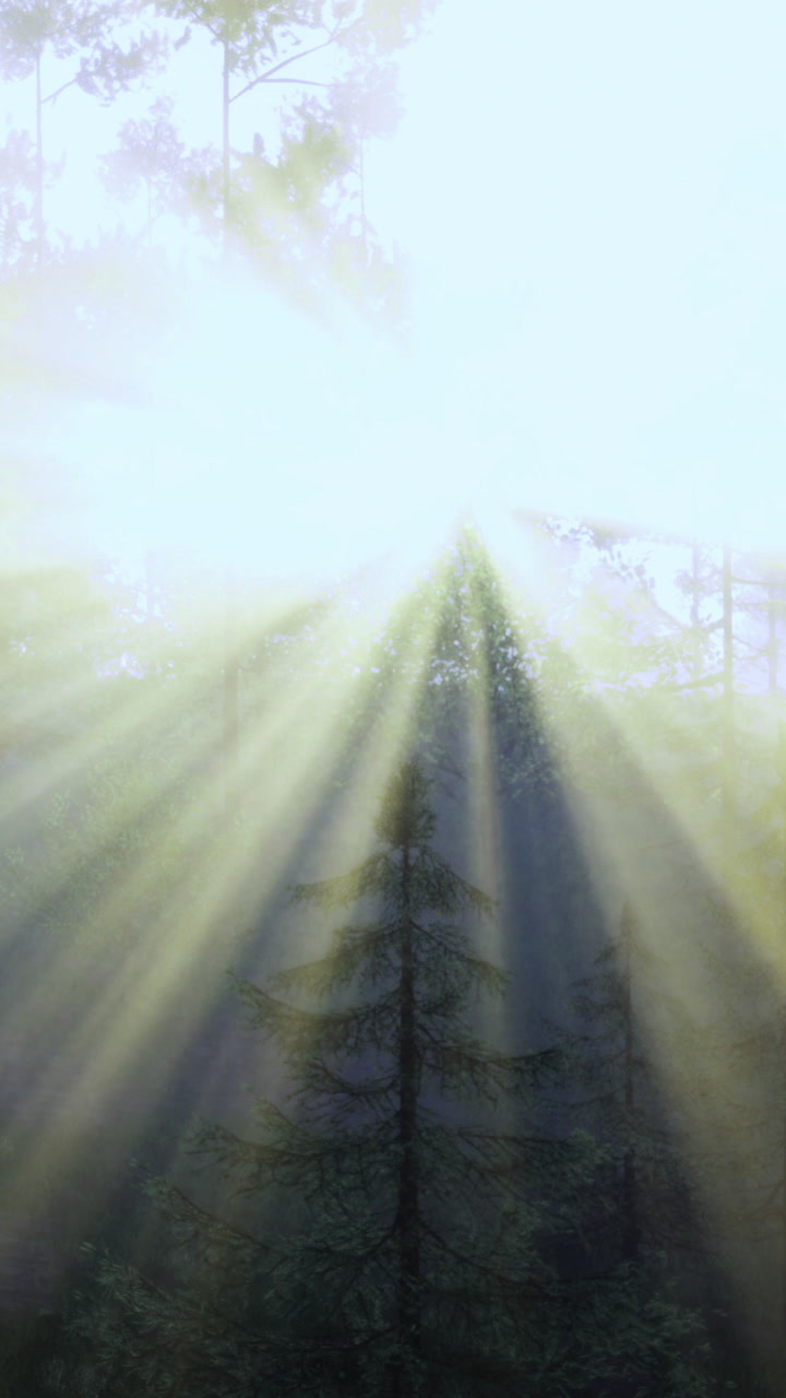 Sunlight beams breaking through a serene forest at dawn