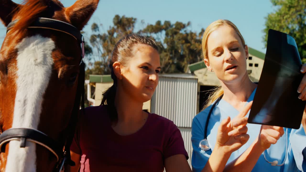 수의사 와 여성 이  ⁇ 스레이 4k 를 통해 논의 하고 있다