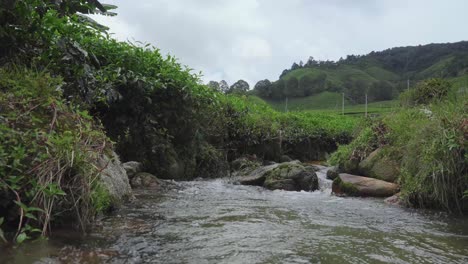 River-stream-waterfall-in-forest-landscape