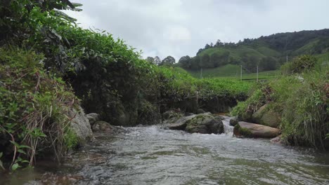 cascada de la corriente del río en el paisaje del bosque