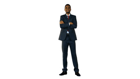 portrait of smiling businessman standing with arms crossed