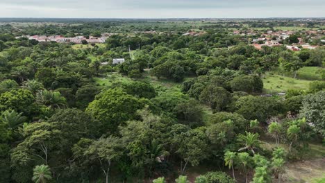 Prados-Tranquilos:-Una-Vista-Panorámica-De-La-Felicidad-Rural