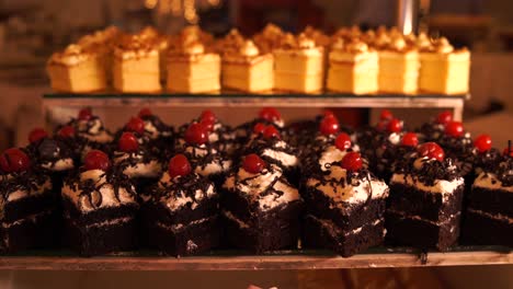 cake on display, featuring soft sponge layers filled with vibrant chocolate cream