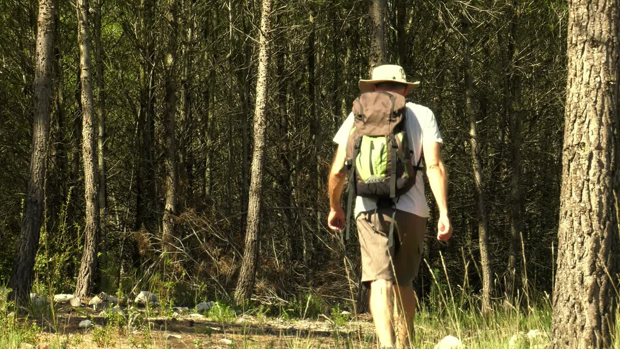 hombre de mediana edad caminando por el bosque con mochila