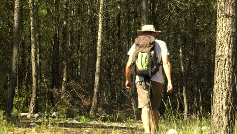 Middle-aged-man-hiking-through-forest-with-backpack