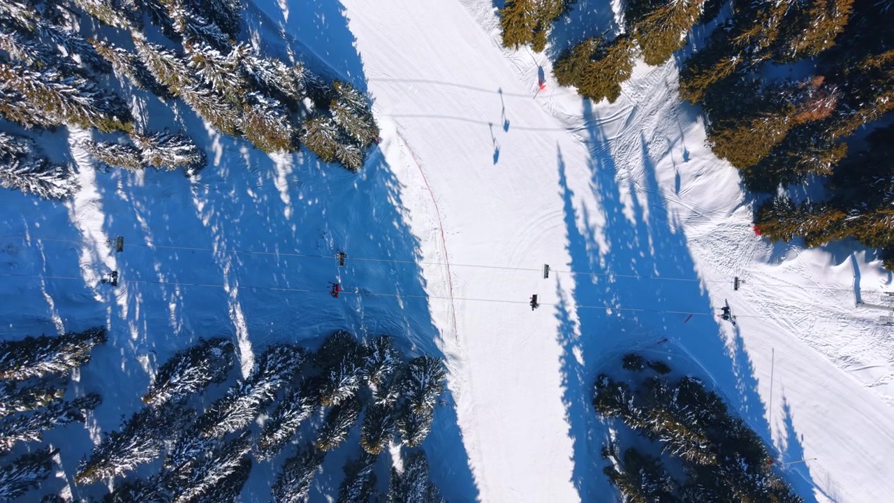 Lift overlooks snowy slopes and trees. A ski lift carries riders above snowy slopes and tall trees during a bright day in the mountains.