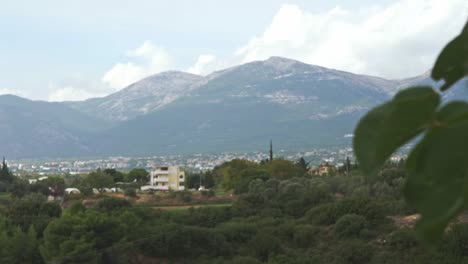 parnitha mountain on october overcast cloudy day, pan revealing shot , tree leaves in the foreground 120fps