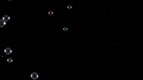 soup bubbles isolated on black background