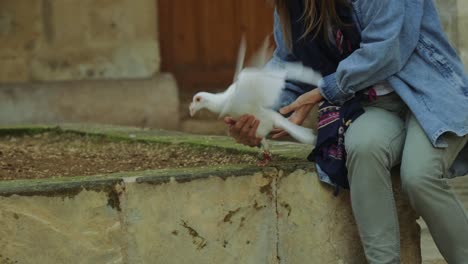 woman releases white dove from her hand. 4k