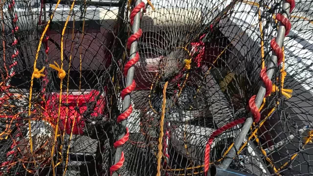 Nasse per granchi ed esca su una barca da pesca