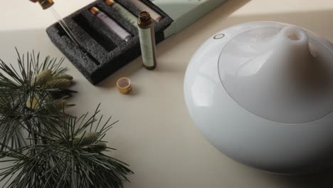 calm mood scene with essential oils, pine branch, and a modern diffuser indoors