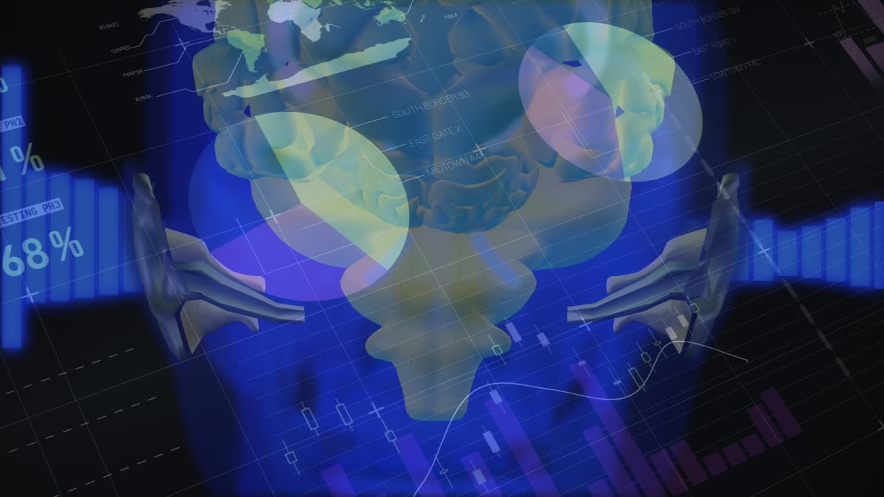 animación del procesamiento de datos financieros sobre la cabeza humana