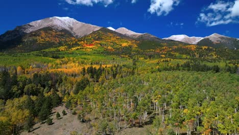 mount mt shavano tabeguache peak aerial drone colorado trail fall autumn aspen trees first snow dusting swatch range salida buena vista morning vibrant blue sky san isabel national forest upwards