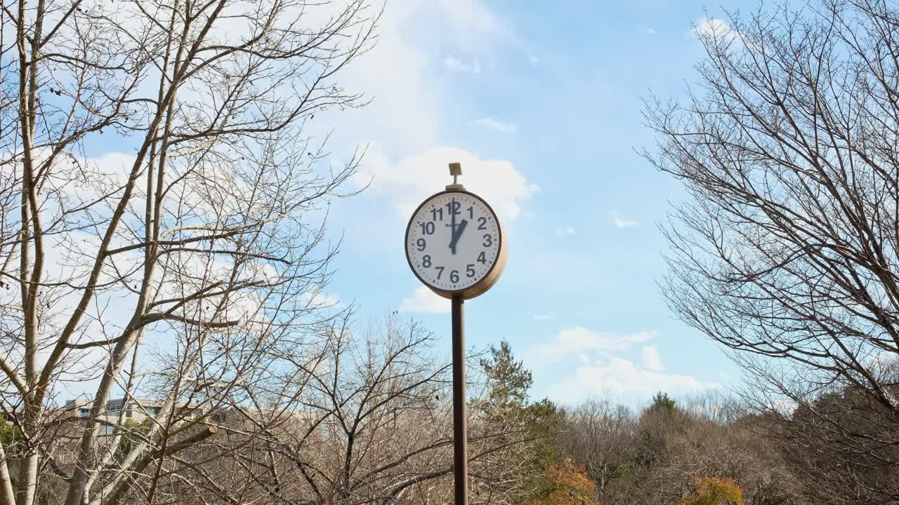 Orologio da parco su palo sotto un cielo azzurro e limpido in Giappone