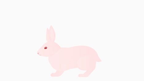 animación en bucle de un simple conejo corriendo alerta alrededor.