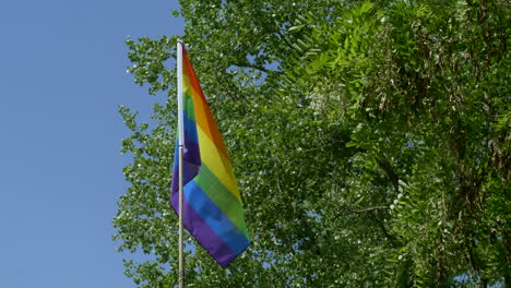 pride flag in the wind. sunny weather