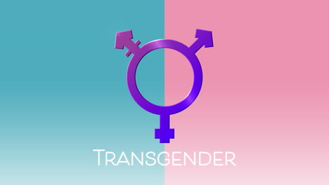 animation of text transgender, with purple transgender symbol on pink and blue