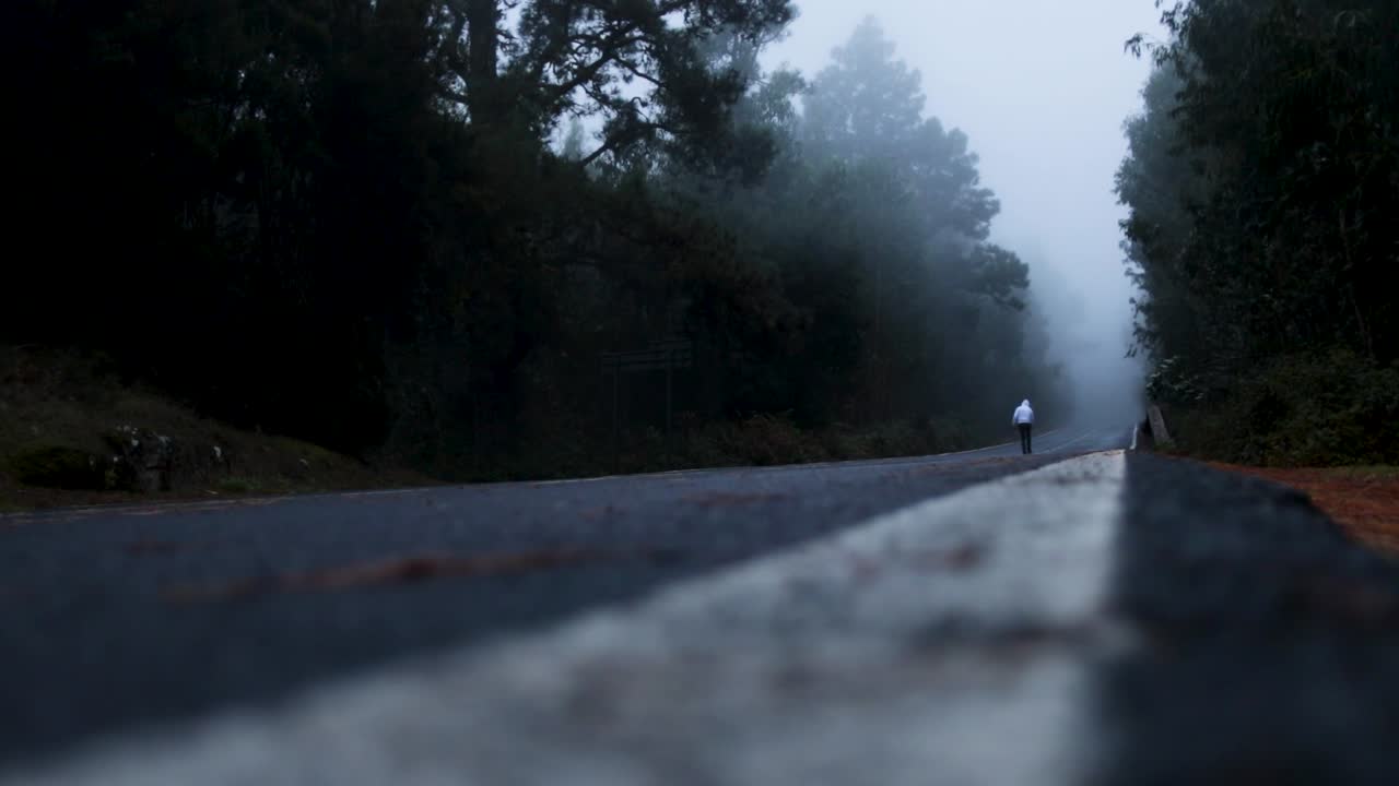Foggy road in the dark, misty forest at late autumn with a person walking on the road, Tenerife