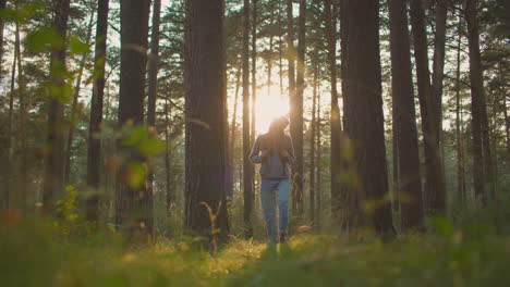 female hiker with backpack walks through peaceful forest, illuminated by warm evening sunlight, surrounded by tall trees and soft greenery, she looks thoughtful and connected with nature