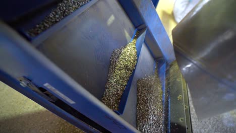 industrial machine for sorting hemp seeds from other weeds - close up