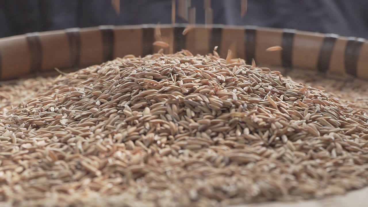 세계 대부분의 지역에서 쌀은 주식으로 사용됩니다.