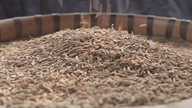 In most parts of the world, rice is used as a staple food